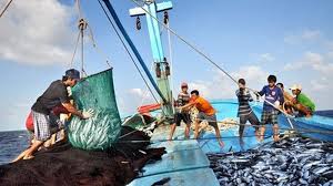 Quyết định số 2764/QĐ-BTC về việc chấp thuận doanh nghiệp bảo hiểm triển khai bảo hiểm khai thác hải sản